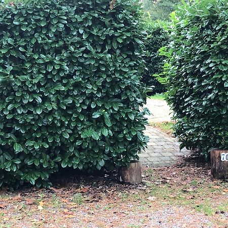 Vrijstaand Chalet In Bospark Villa Hattemerbroek Eksteriør bilde