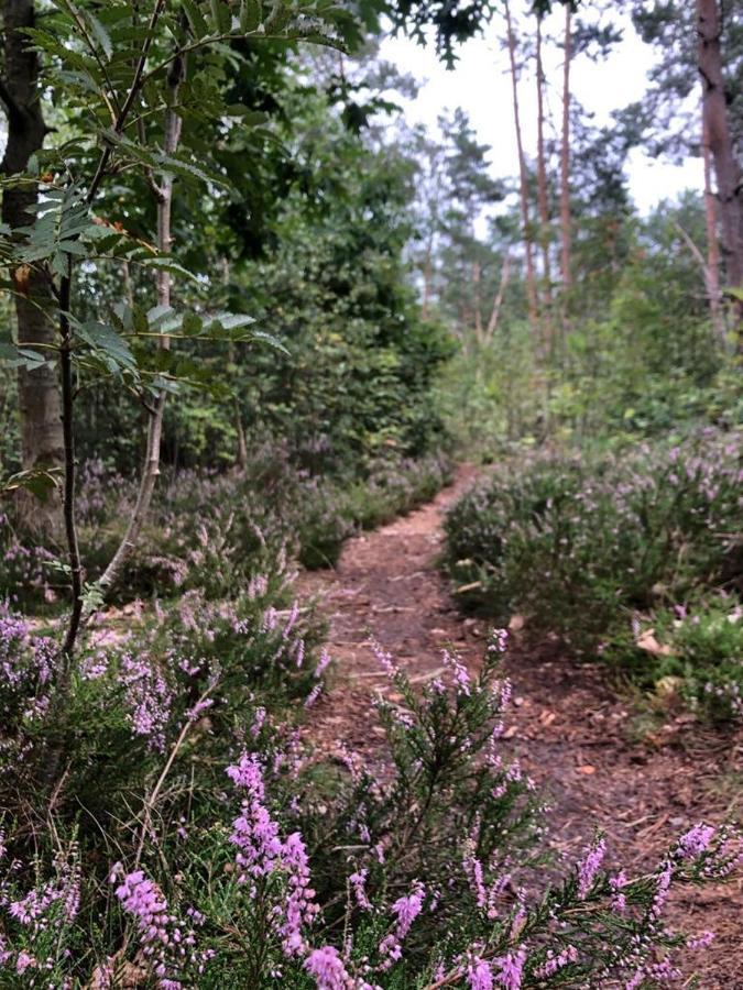 Vrijstaand Chalet In Bospark Villa Hattemerbroek Eksteriør bilde